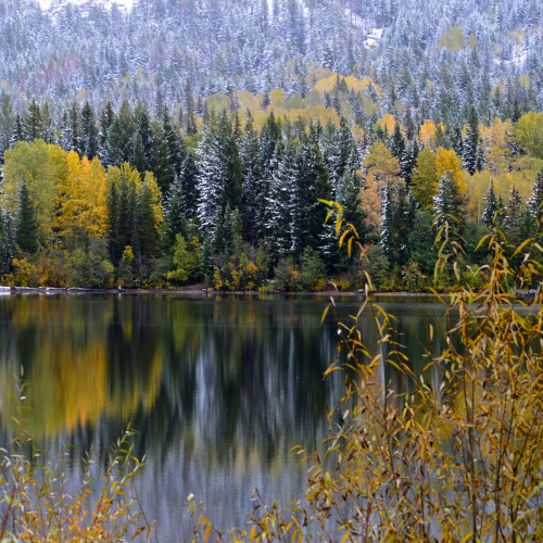 Bear Lake