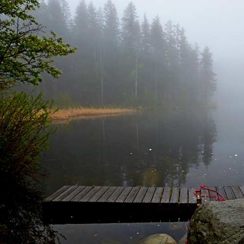 Silver Lake in the Mist