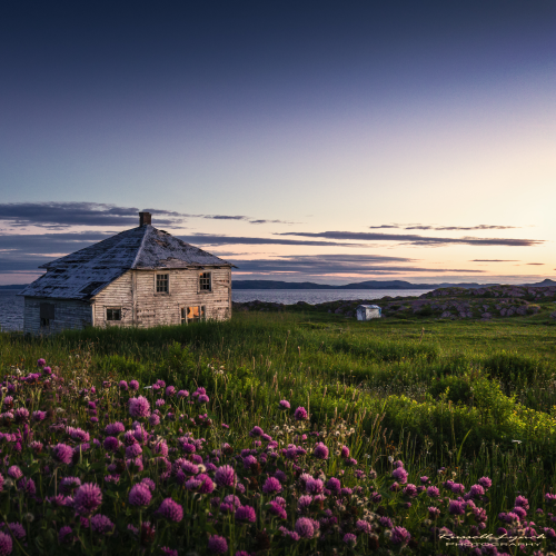 Abandoned Beauty