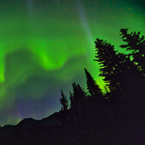 The August Solar Storm