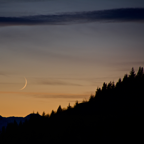 Coast Mountain Silhouette