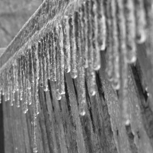 Frozen Fence