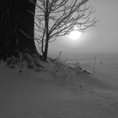Frozen Sun