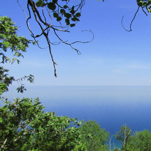 A view from the top