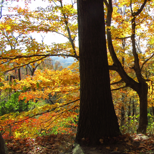 Autumn hike