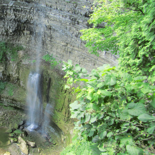 Tew's Falls