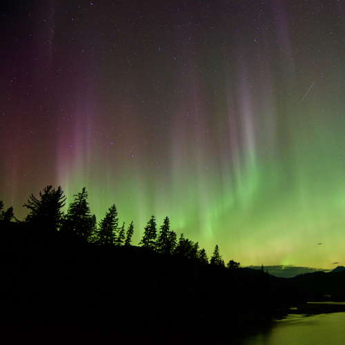Under Northern Skies V