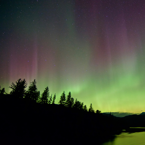 Under Northern Skies VII