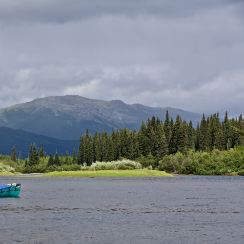 Northern Paddle