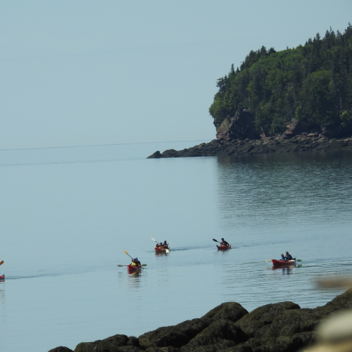 Kayakers