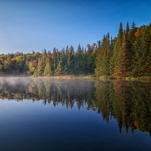 Lake's morning