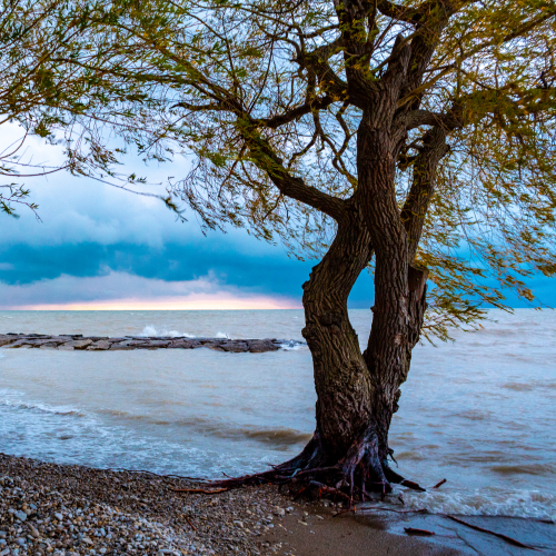 Day's End at Lake Huron