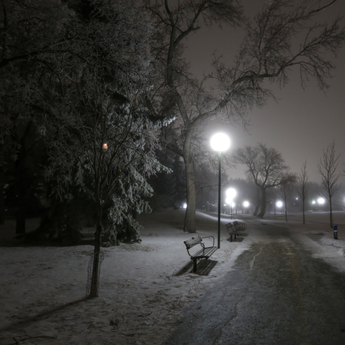 Walk in the park