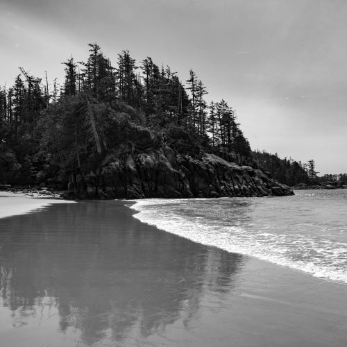 Black and White Coastline.