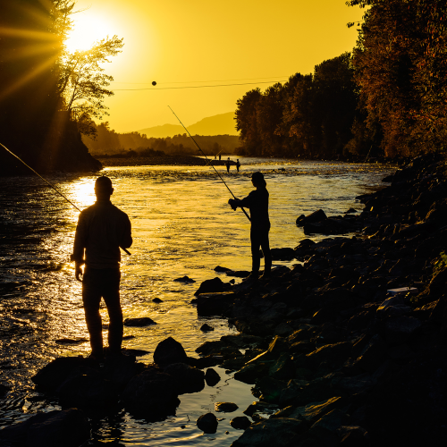 Fishermen on the Vedder river