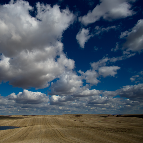 Prairie Cumulus