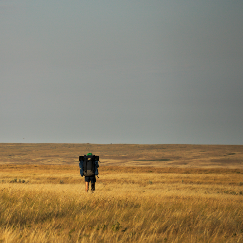 The Walker