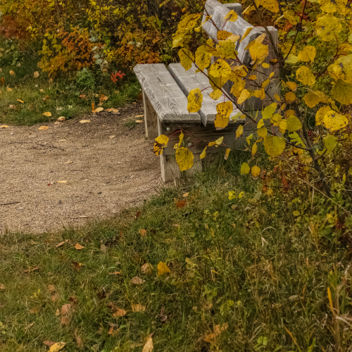 A Quiet Spot