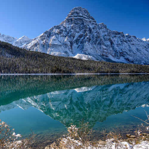 Frosty Waterfowl lakes