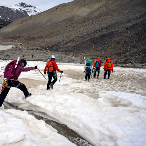 Exploring the glacier