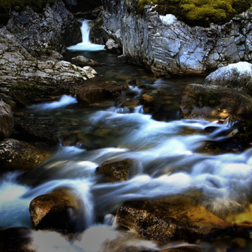 Fall and stream