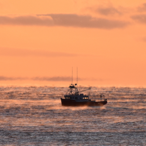 Lobster fishing in December