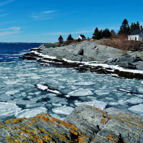 Winter's Delight
