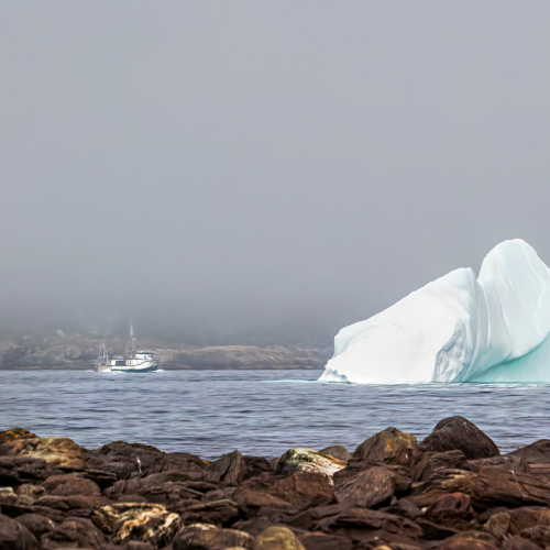 Ferryland Iceberg