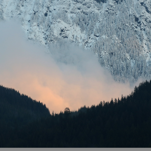 Mist Rising