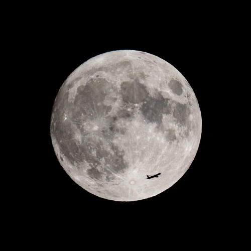 Shoot for the Moon