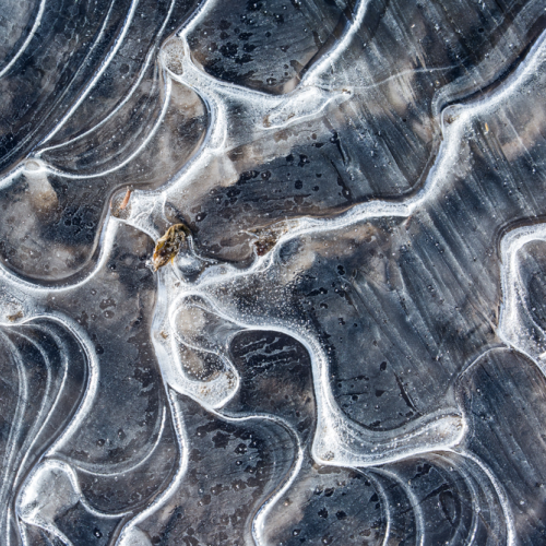 On Frozen Puddle
