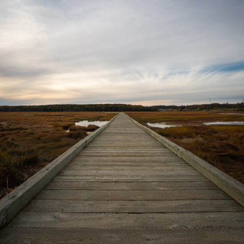 Boardwalk into Infinity