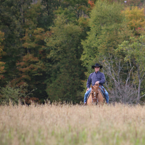 Autumn Days