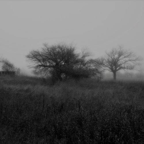 The old homestead