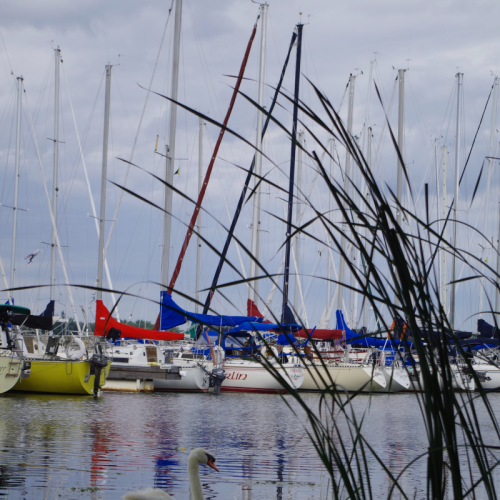 Among the yachts