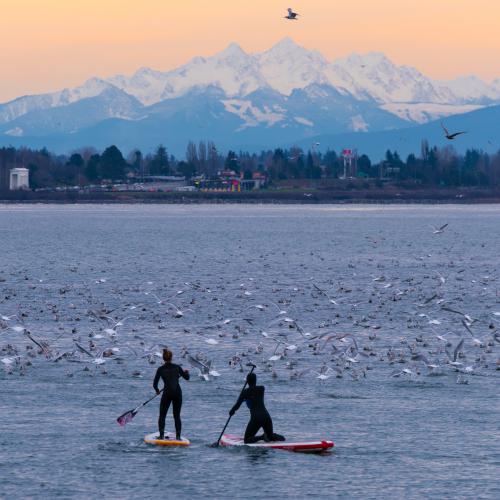 Paddleboarding The Big Blue