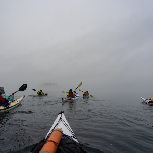 Into the mystic