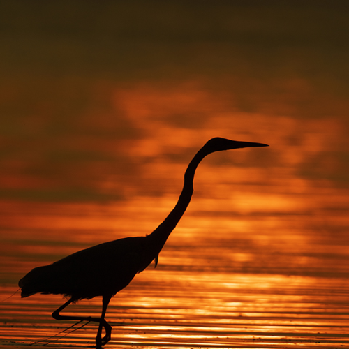 Sunset & Beauty
