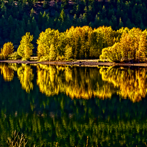 Monte Lake
