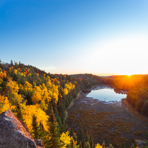 Portrait of Algonquin Park Sunset
