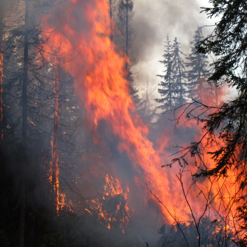 Controlled Burn (with a touch of wind)