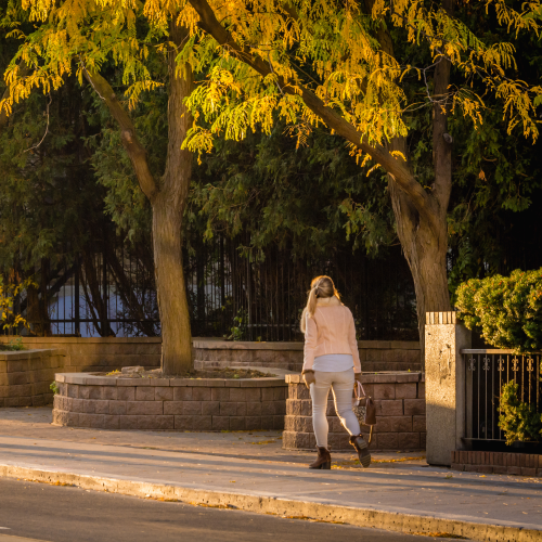 Autumn gold in the city