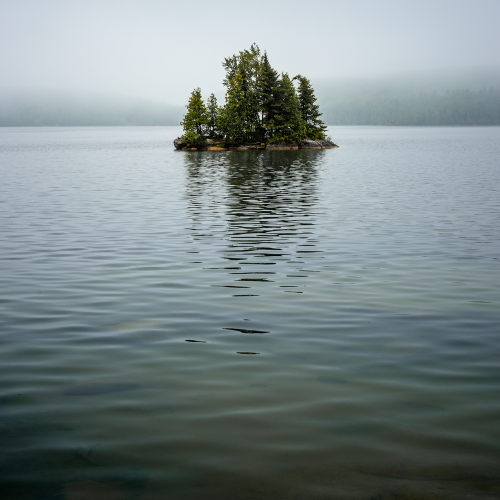 'The Island'