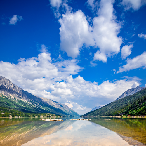 End of the Chilkoot