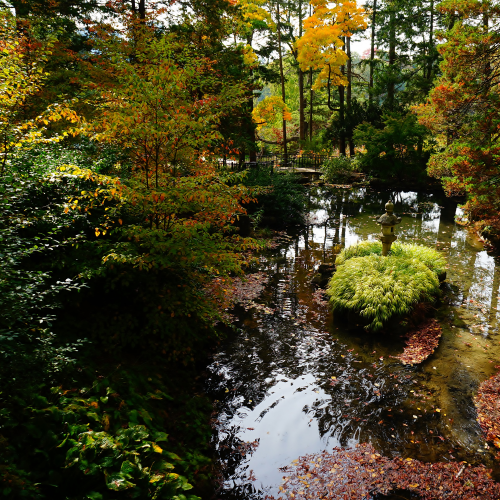 High Park