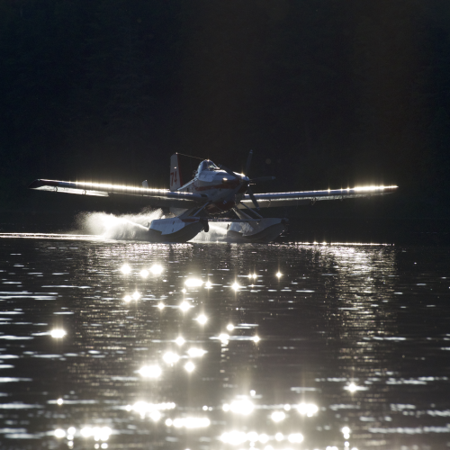 Water bomber (skimmer)