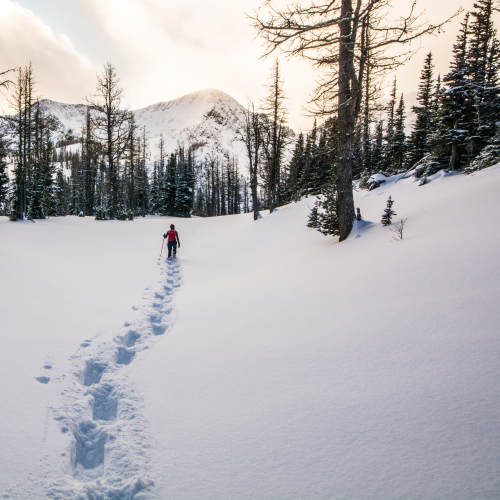 Trail Break