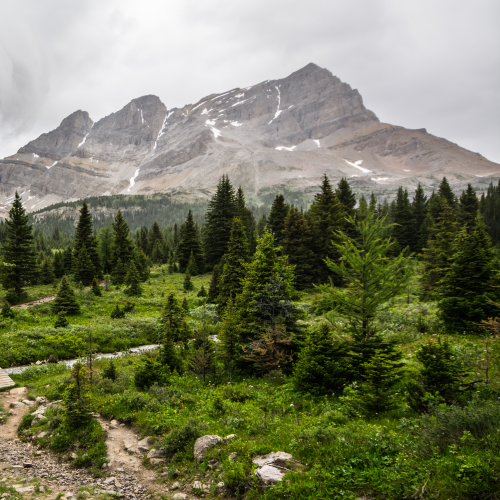 Stormy Hike