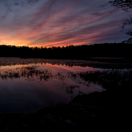 Fiery Skies