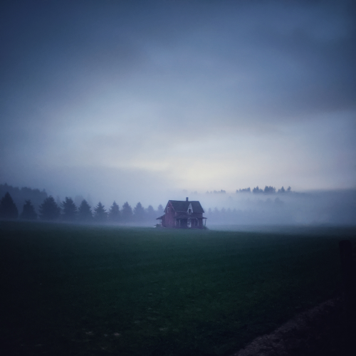 Foggy Night